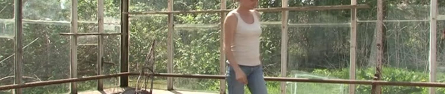 Inredning växthus Inredning växthus